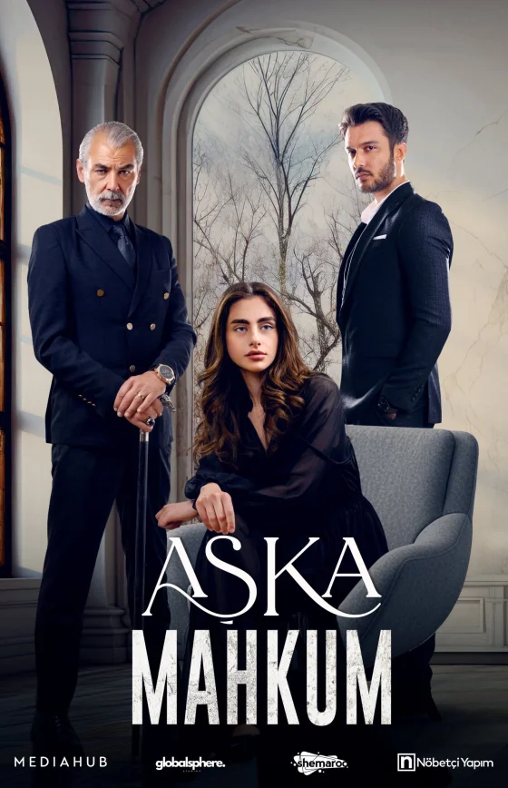 Заключенный любви турецкий сериал